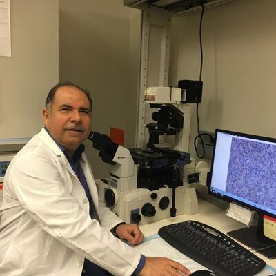 ABD’deki Türk ekip kansere çare olacak ilaç çalışmasında sona geldi