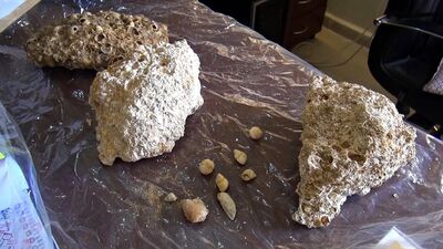 Yol yapım çalışmalarında bulundu... İncelemeye alındı