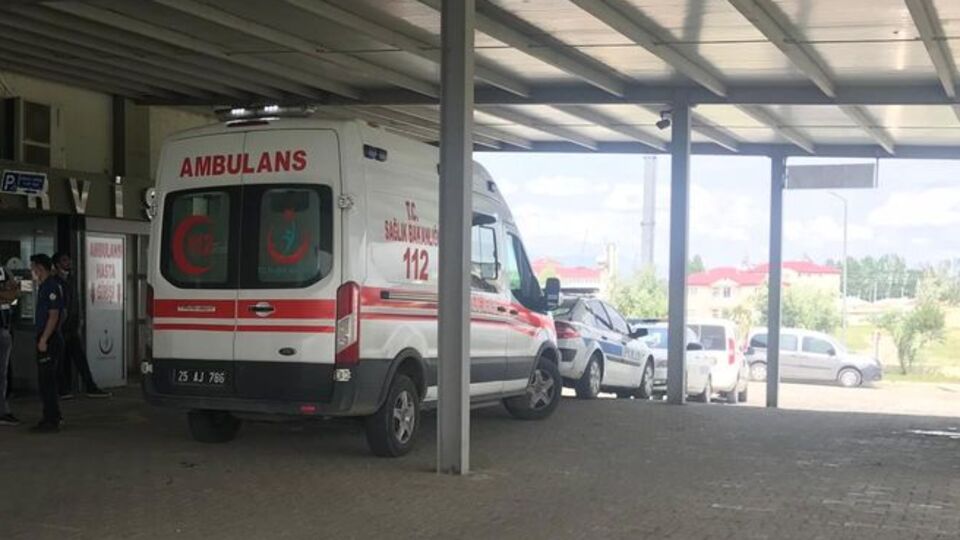 Erzurum'da iki farklı köye yıldırım düştü