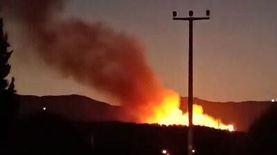 İzmir'de orman alanda yangın