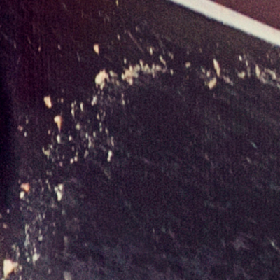 Dikkat! Hayvan kanından bulaşabiliyor...