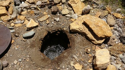 Adana'da esrarengiz kuyu... Çevresindeki canlılar ölüyor