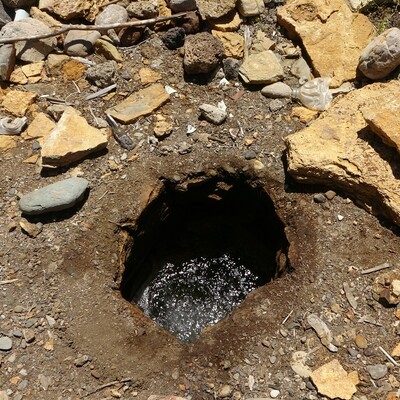 Adana’da esrarengiz kuyu... Çevresindeki canlılar ölüyor