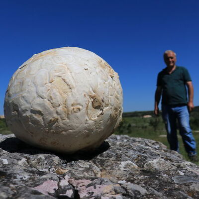 Merada buldu! Başta futbol topu sandı ama...