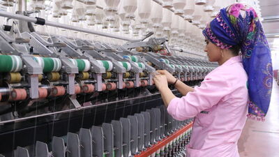 GAP'tan yan sanayiye doping