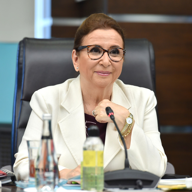 'Gümrük Birliği anlaşması yetersiz'