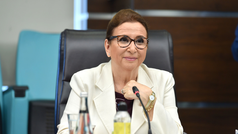 'Gümrük Birliği anlaşması yetersiz'