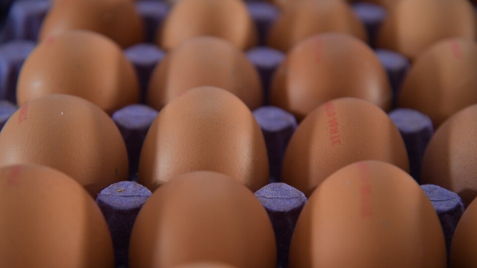 Fiyatlar yükseldi, ihracatı durdu