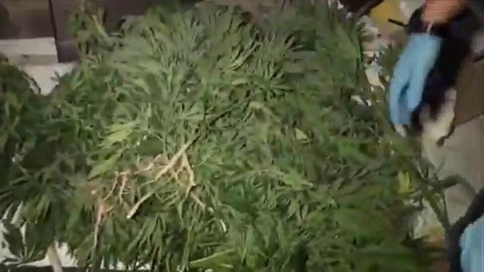 Diyarbakır'da uyuşturucu operasyonu!