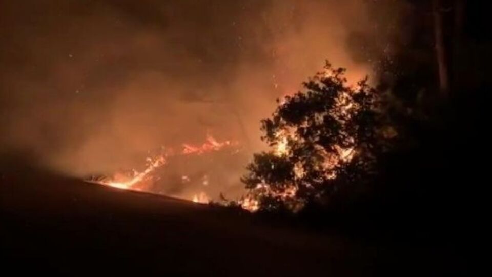 Sarıyer'de orman yangını