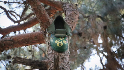 Giyilmeyen ayakkabılar kuşlara rengarenk yuva oldu