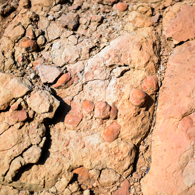 Arkadaşlarıyla yürüyüş yapıyordu... Kayaların içinde buldu