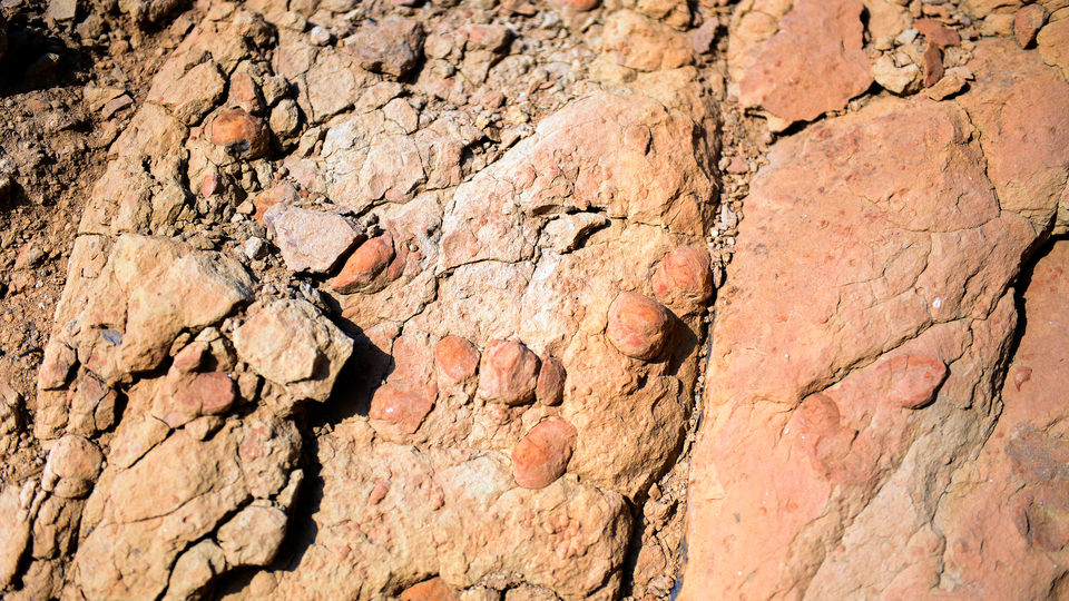 Arkadaşlarıyla yürüyüş yapıyordu... Kayaların içinde buldu