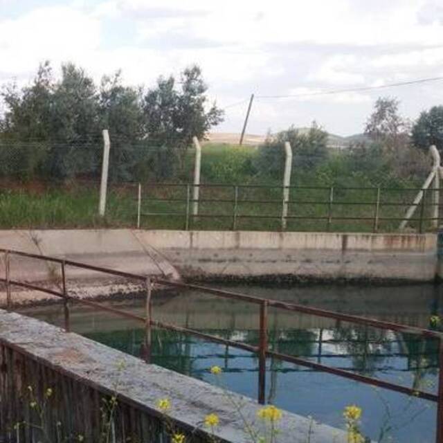 Kayıp kızdan 2 gün sonra acı haber!