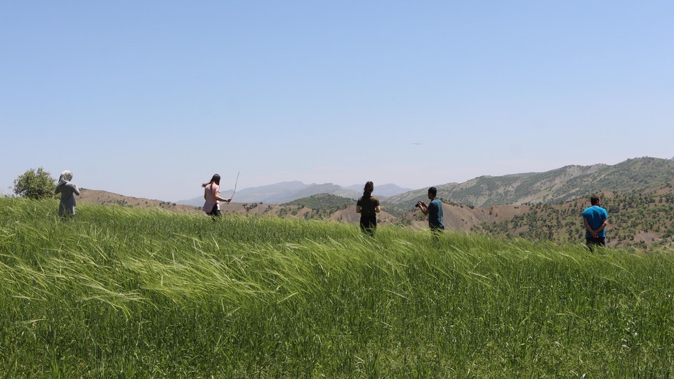 Aileleriyle gittikleri piknikte ortadan kayboldular!