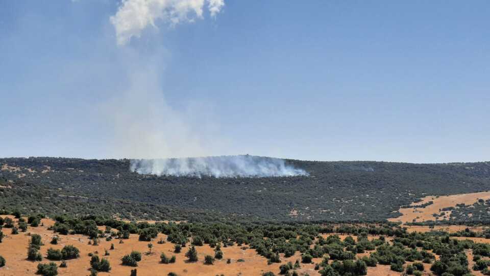 Kilis'te ormanlık alanda yangın!