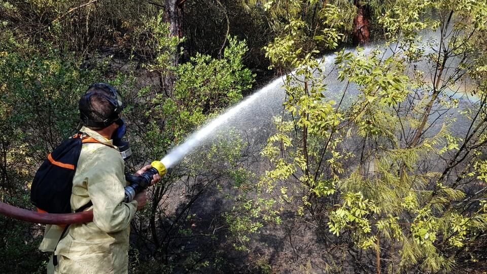 Karabük'te korkutan yangın!