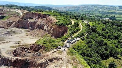 "Ya yerinde imha ya da özel taşıma"