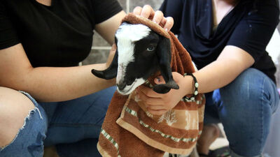 Annesiz kalan 'Rıfkı'ya evlatları gibi bakıyorlar