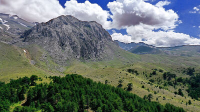 Tam bir yayla cenneti!