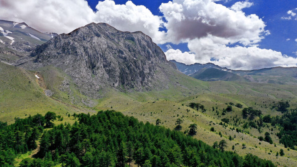 Tam bir yayla cenneti!