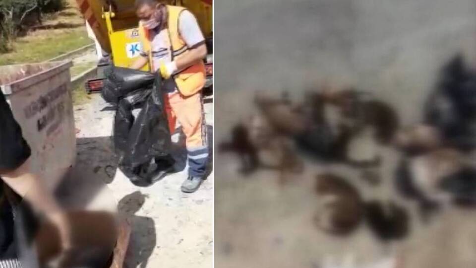 Kan donduran katliam! Ağızları bağlanmış