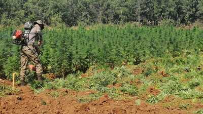 Terör örgütünün finans kaynağına darbe!