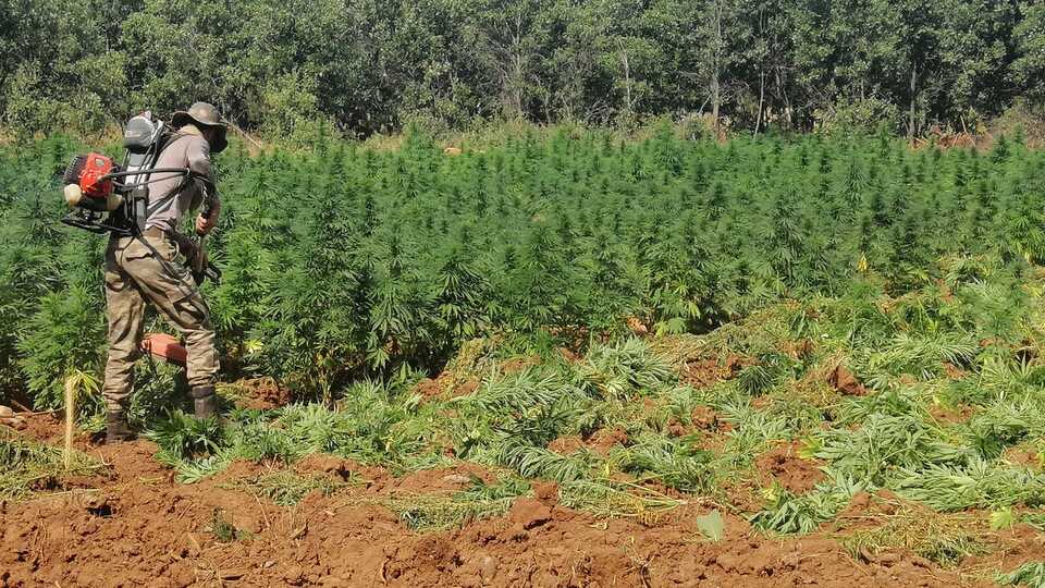 Terör örgütünün finans kaynağına darbe!