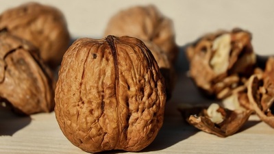 Ceviz kabuğu mucizesi! 6 günde etkisini gösteriyor