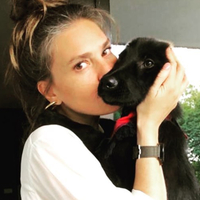 "Satın alma, sahiplen"