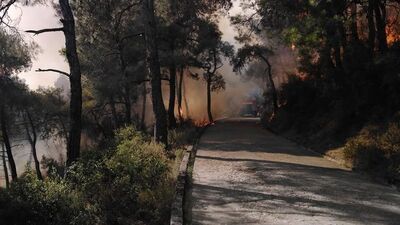 Heybeliada'da da 5 hektar küle döndü