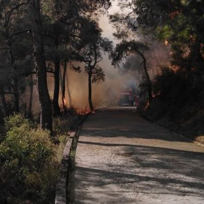 Heybeliada'da da 5 hektar küle döndü