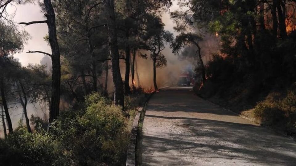 Heybeliada'da da 5 hektar küle döndü