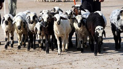 Değeri 6.5 milyon lira