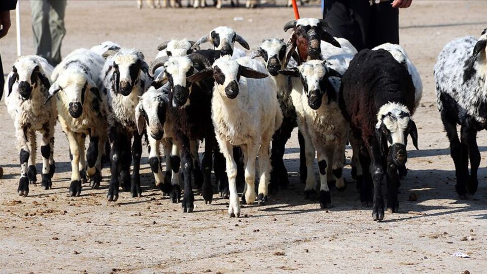 Değeri 6.5 milyon lira