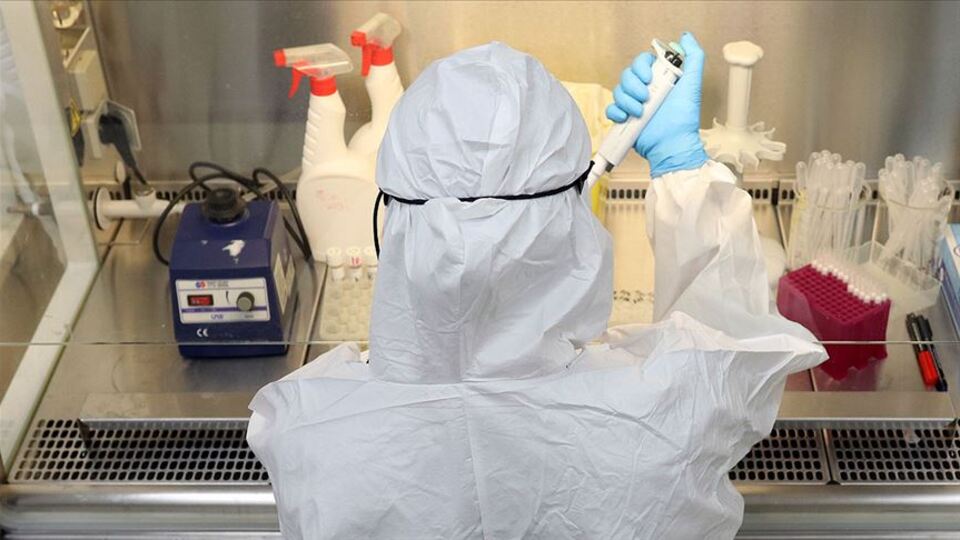 Bilim insanları açıkladı! Covid-19'u etkisizleştirdi