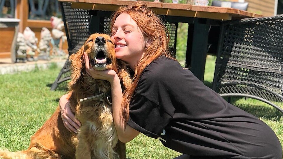 Sokak hayvanları için