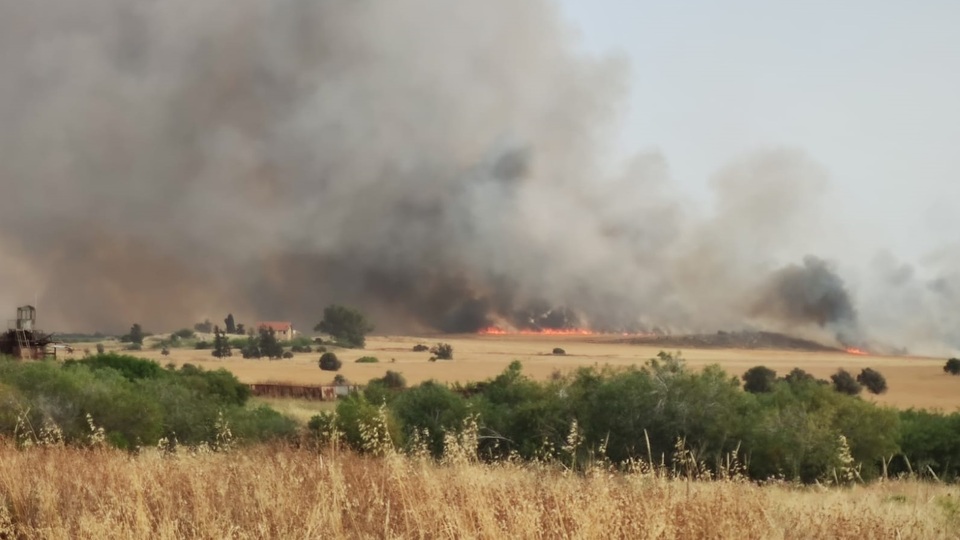 KKTC'de korkutan yangın