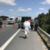 TEM kenarında vahşet! Parça parça bulundu