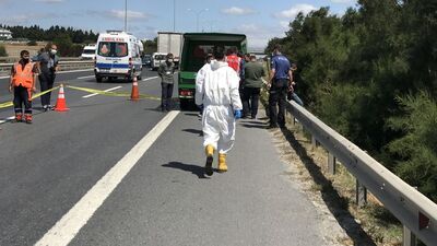 TEM kenarında vahşet! Parça parça bulundu