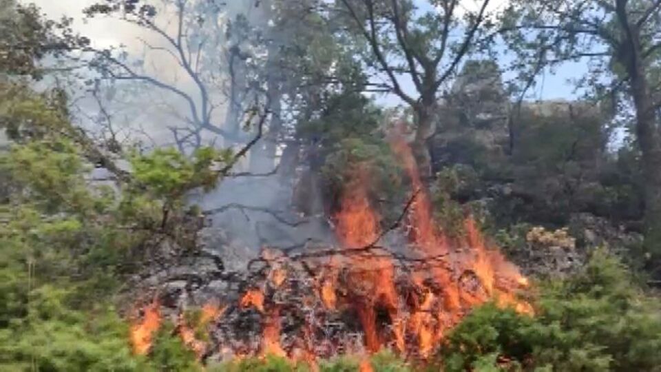 Adıyaman'da orman yangını!
