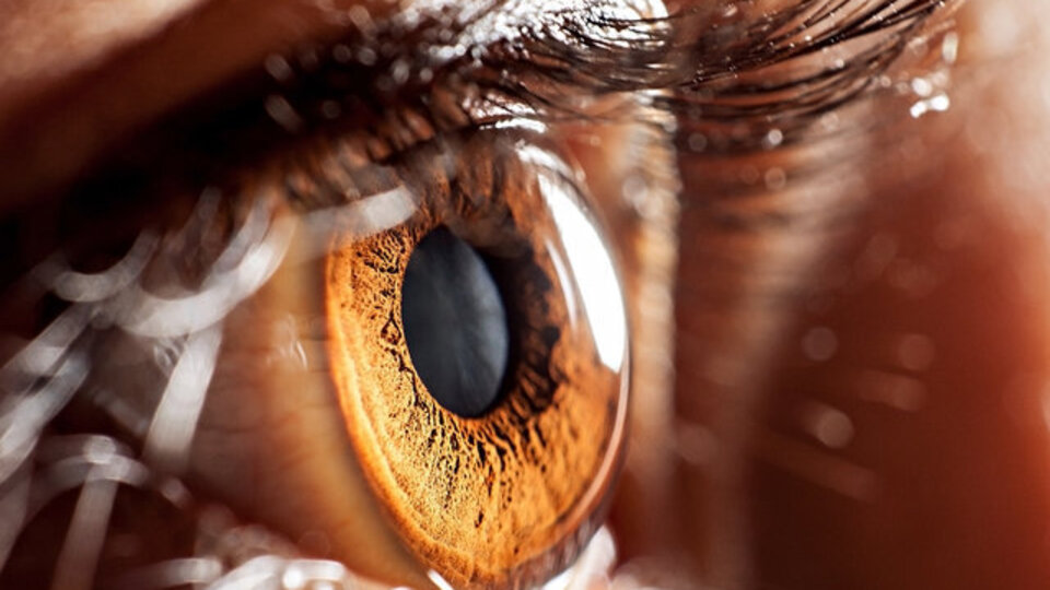 Pandemi sürecinde buna dikkat!