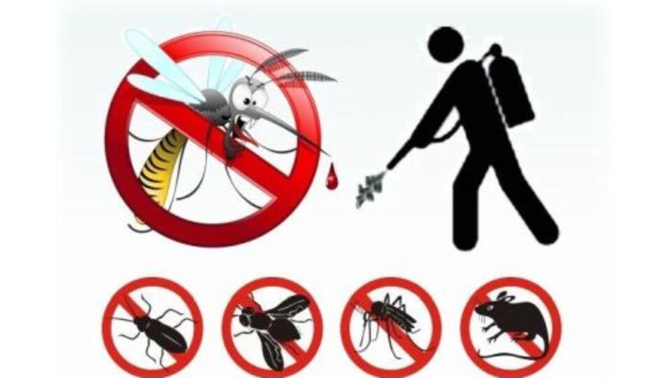 Kokulu ve kokusuz böcek ilaçlama