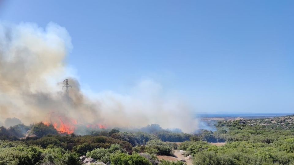 Çanakkale'de bir korkutan yangın daha!
