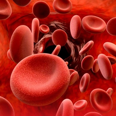 Dikkat! Yüzde 5’lik artış bile kan şekerini yüzde 50, kan yağlarını yüzde 30 yükseltiyor