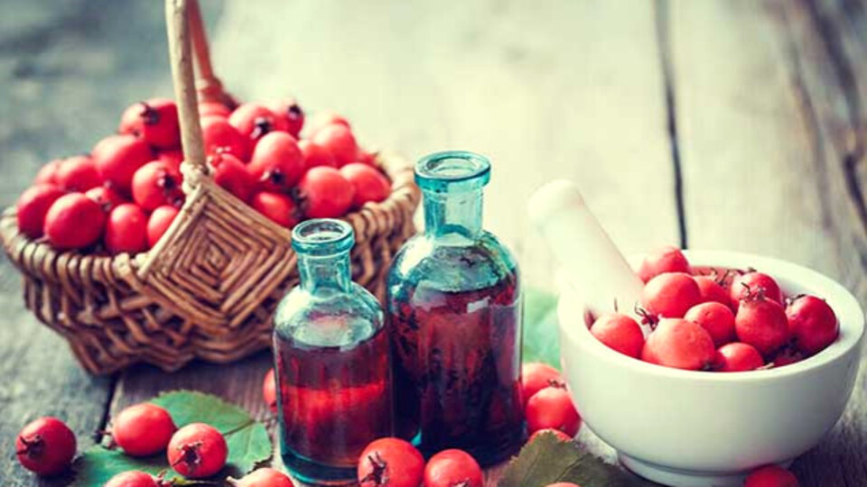 İdrar söktürücü gıdalar