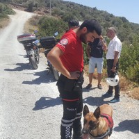 Besledikleri köpek, insana ait kafatası buldu