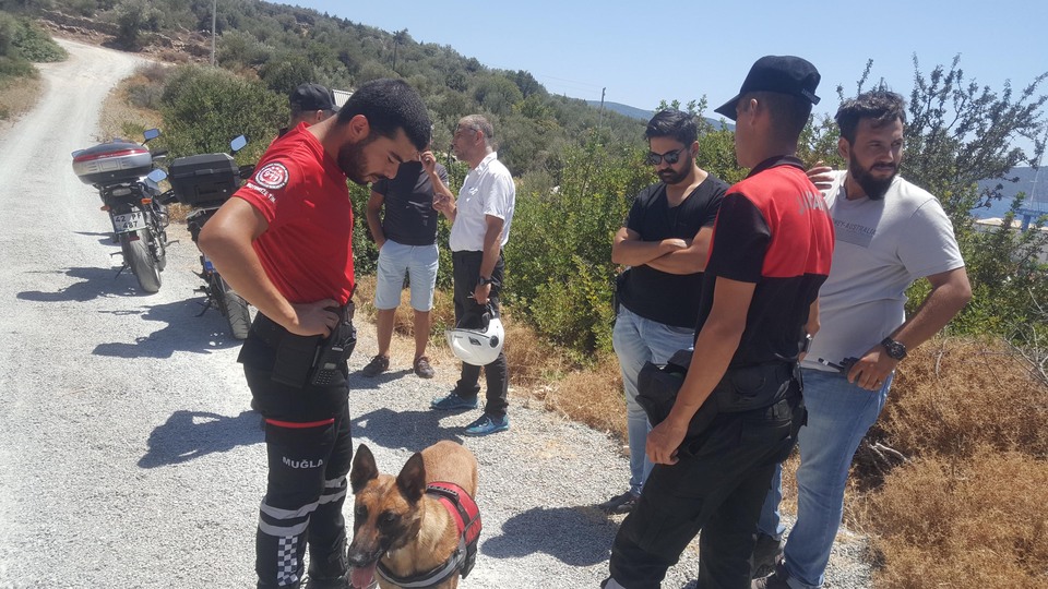Besledikleri köpek, insana ait kafatası buldu