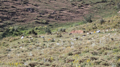 Van'da şehit olan 7 polisin isimleri açıklandı