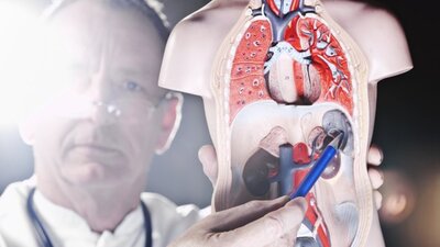 Dalak büyümesi nedenleri, belirtileri ve tedavisi